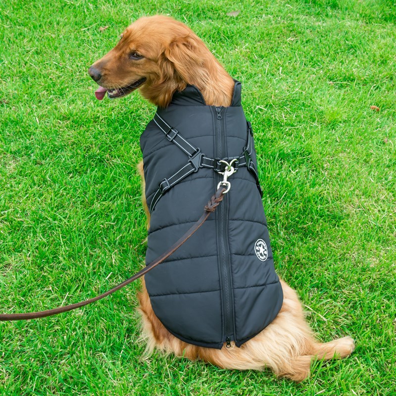🧥 Manteau Hiver pour Chien – Gilet Coton Imperméable et Confortable