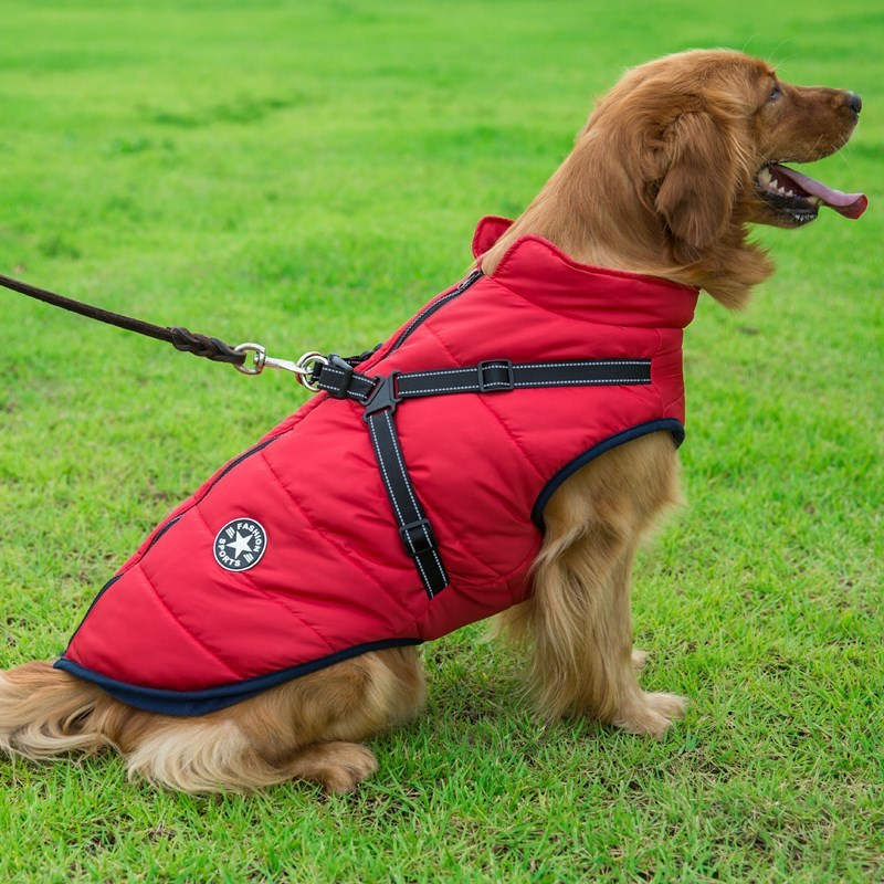 🧥 Manteau Hiver pour Chien – Gilet Coton Imperméable et Confortable