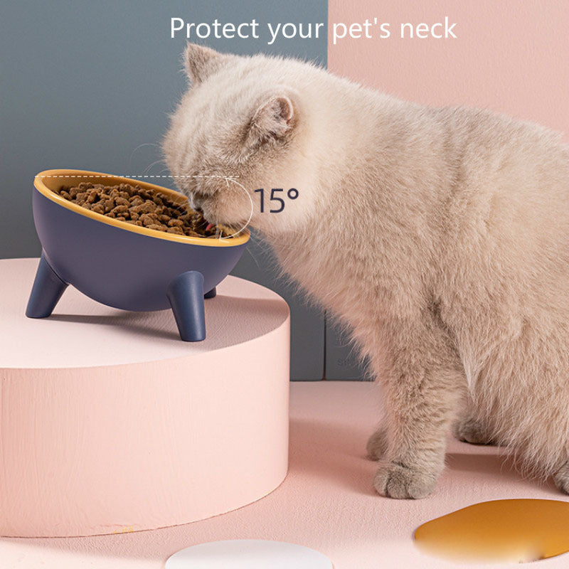 🐾 Gamelle sur Support Inclinée pour Chat et Chien – Design Nordique &amp; Antidérapante