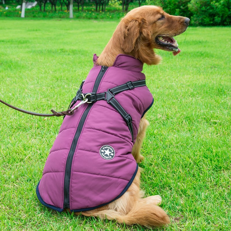 🧥 Manteau Hiver pour Chien – Gilet Coton Imperméable et Confortable