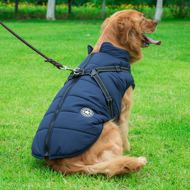 🧥 Manteau Hiver pour Chien – Gilet Coton Imperméable et Confortable