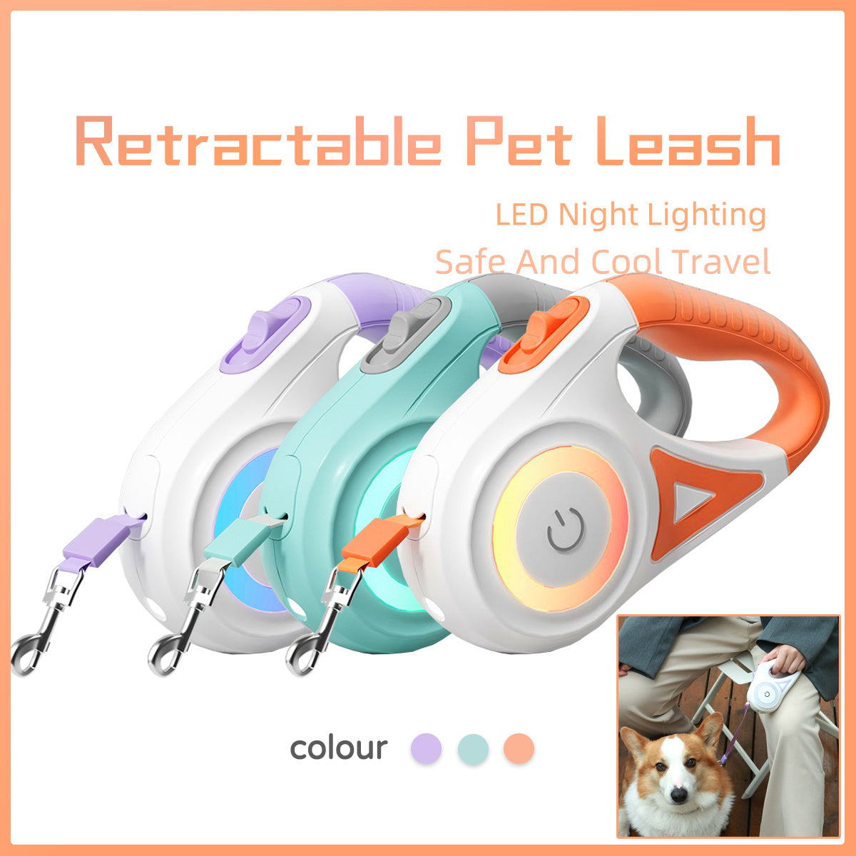 🐕 Laisse Rétractable avec Collier – Système Automatique & Frein Sécurisé