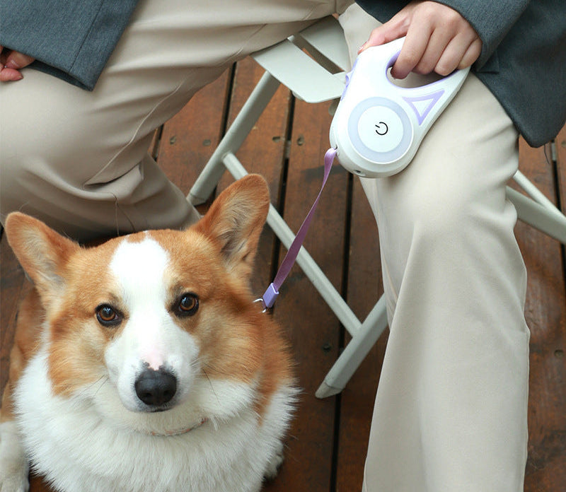 🐕 Laisse Rétractable avec Collier – Système Automatique & Frein Sécurisé