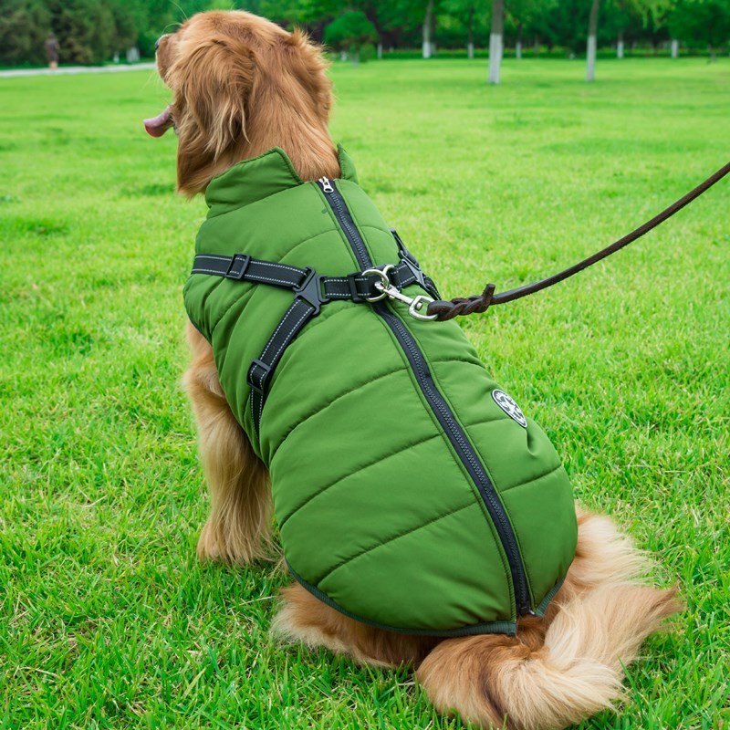 🧥 Manteau Hiver pour Chien – Gilet Coton Imperméable et Confortable